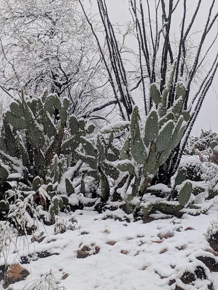 Snow in Green Valley